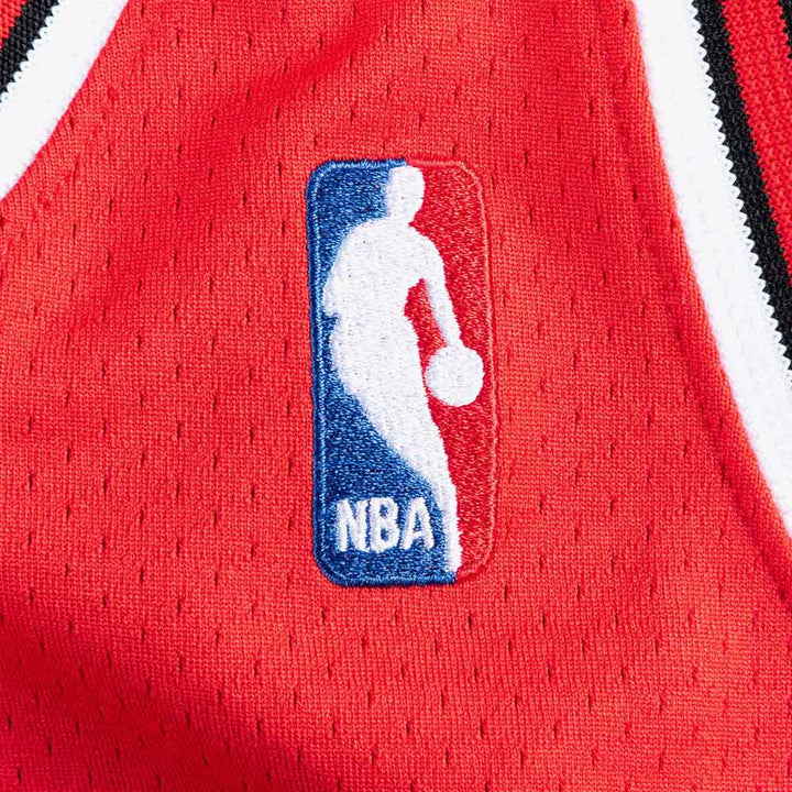 NBA Mitchell & Ness Chicago Bulls Michael Jordan '95 Jersey
