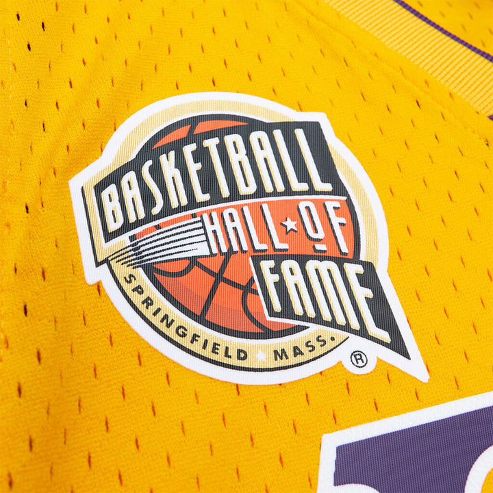 Basketball HOF Limited Edition Pau Gasol Swingman Jersey